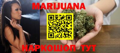 крисы Лесосибирск