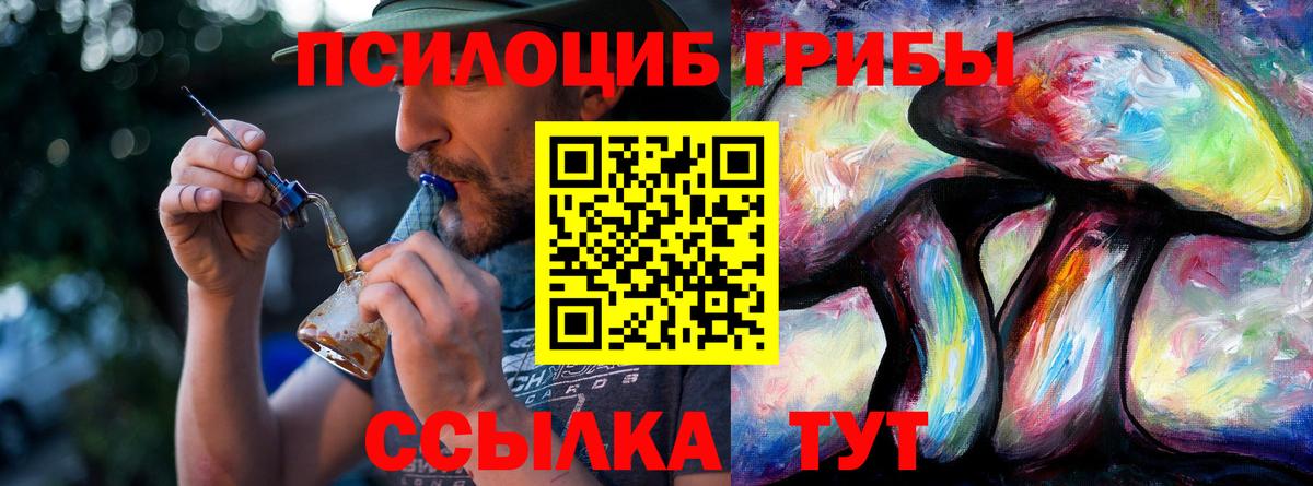 как найти закладки  Галлюциногенные грибы Psilocybe  Псилоцибиновые грибы Cubensis  Вход с VPN  Хабаровск 